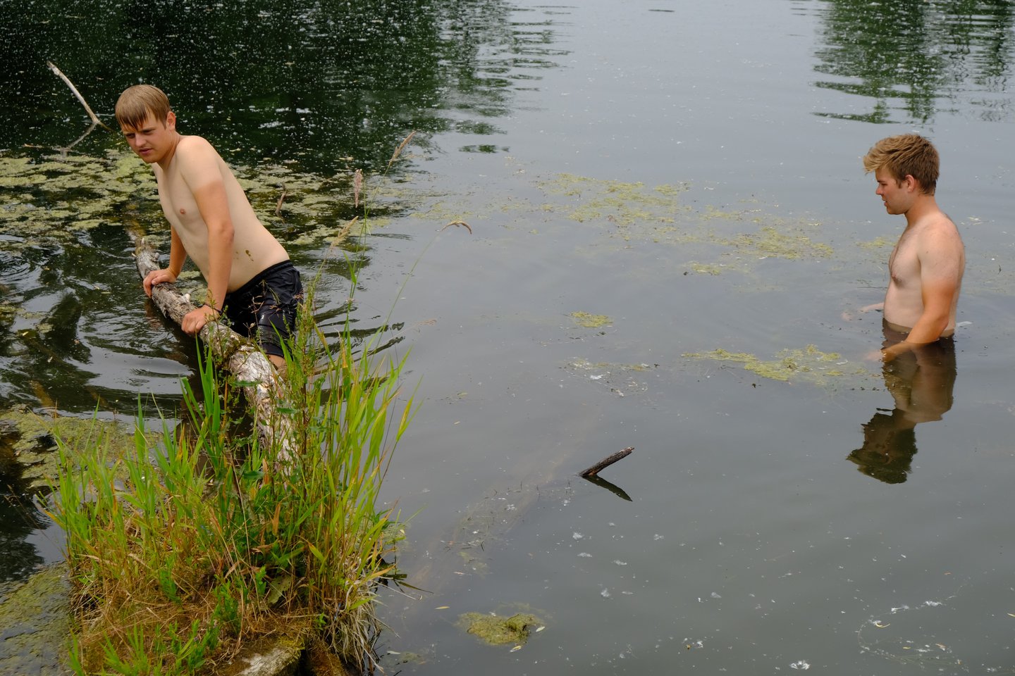 Die verzweifelte Suche